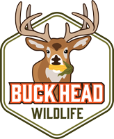 Buck Head Wildlife Logo
