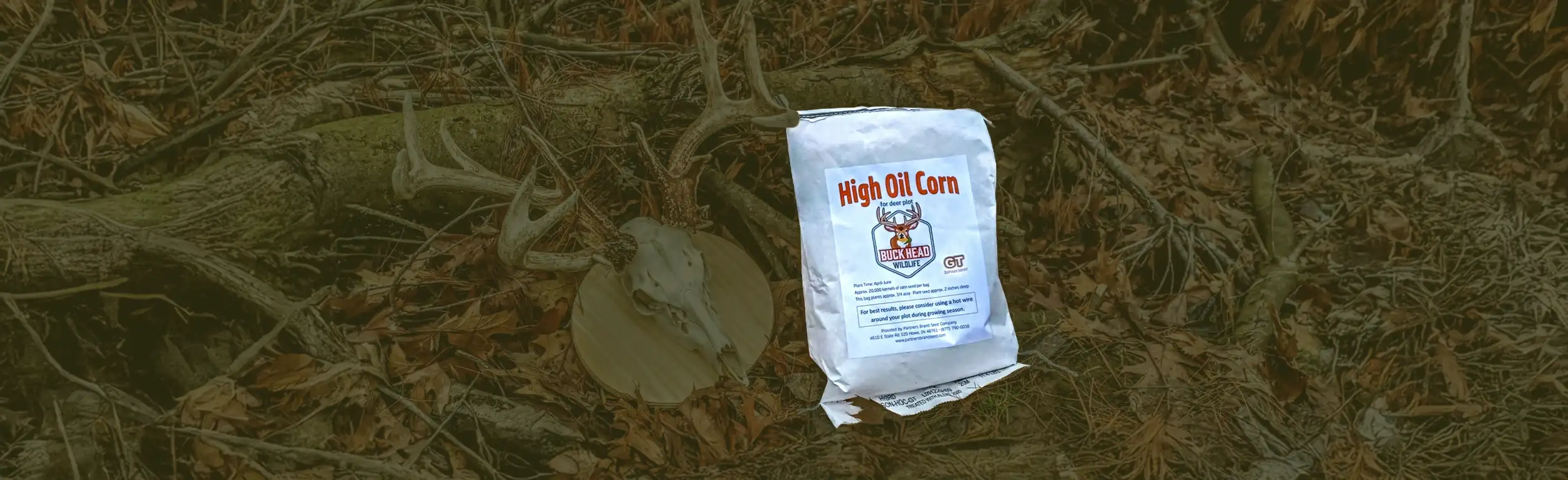 Buck Head Wild High Oil Corn